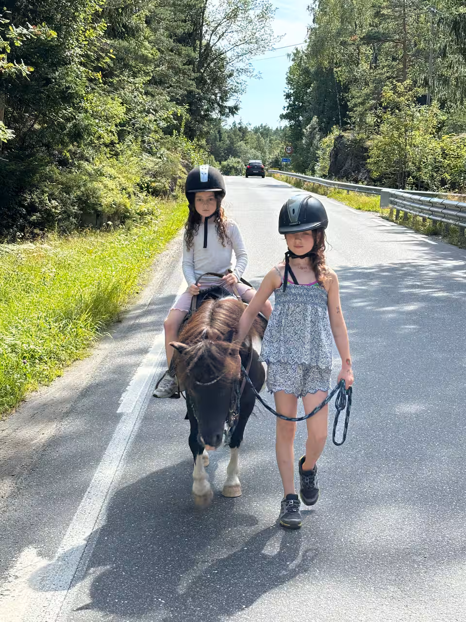 Rideturer · turer med Spirit på tunet